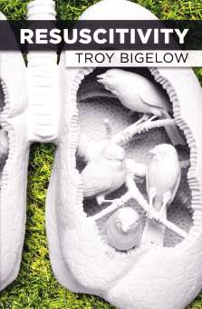 Bigelow book cover