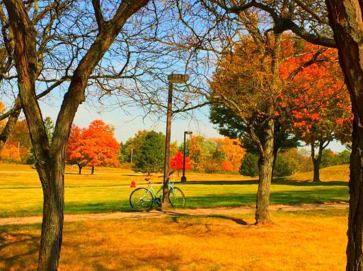 bicycle at north campus ivy tech fall 2015
