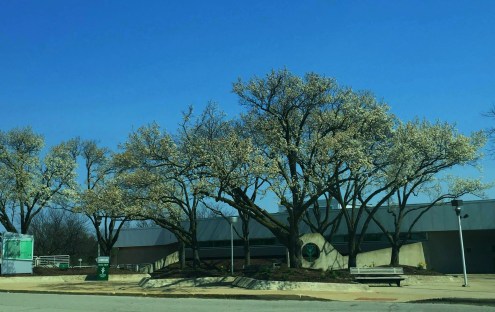 North Campus saw a number of repairs, including fixing potholes and adding a detention pond.